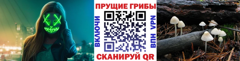 Псилоцибиновые грибы MAGIC MUSHROOMS  наркота  мориарти официальный сайт  Хасавюрт 